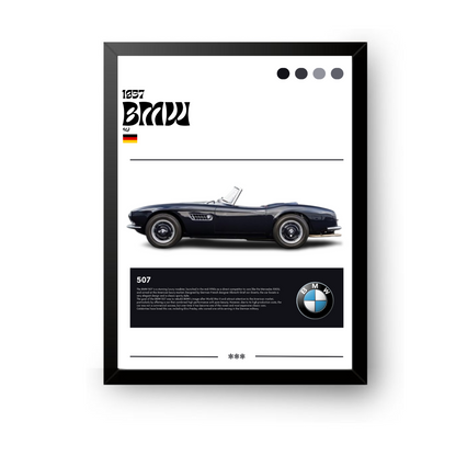 BMW 507